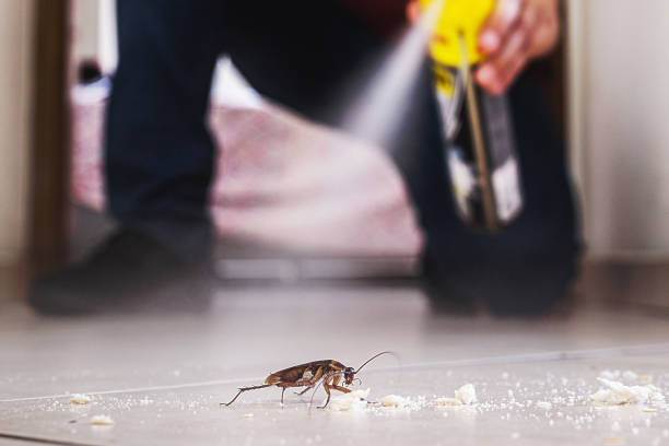 Wasp Removal Services in Eagan, MN