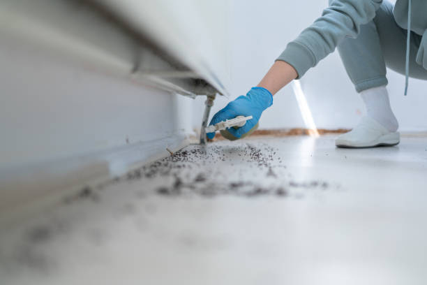 Best Wasp Removal Services  in Eagan, MN